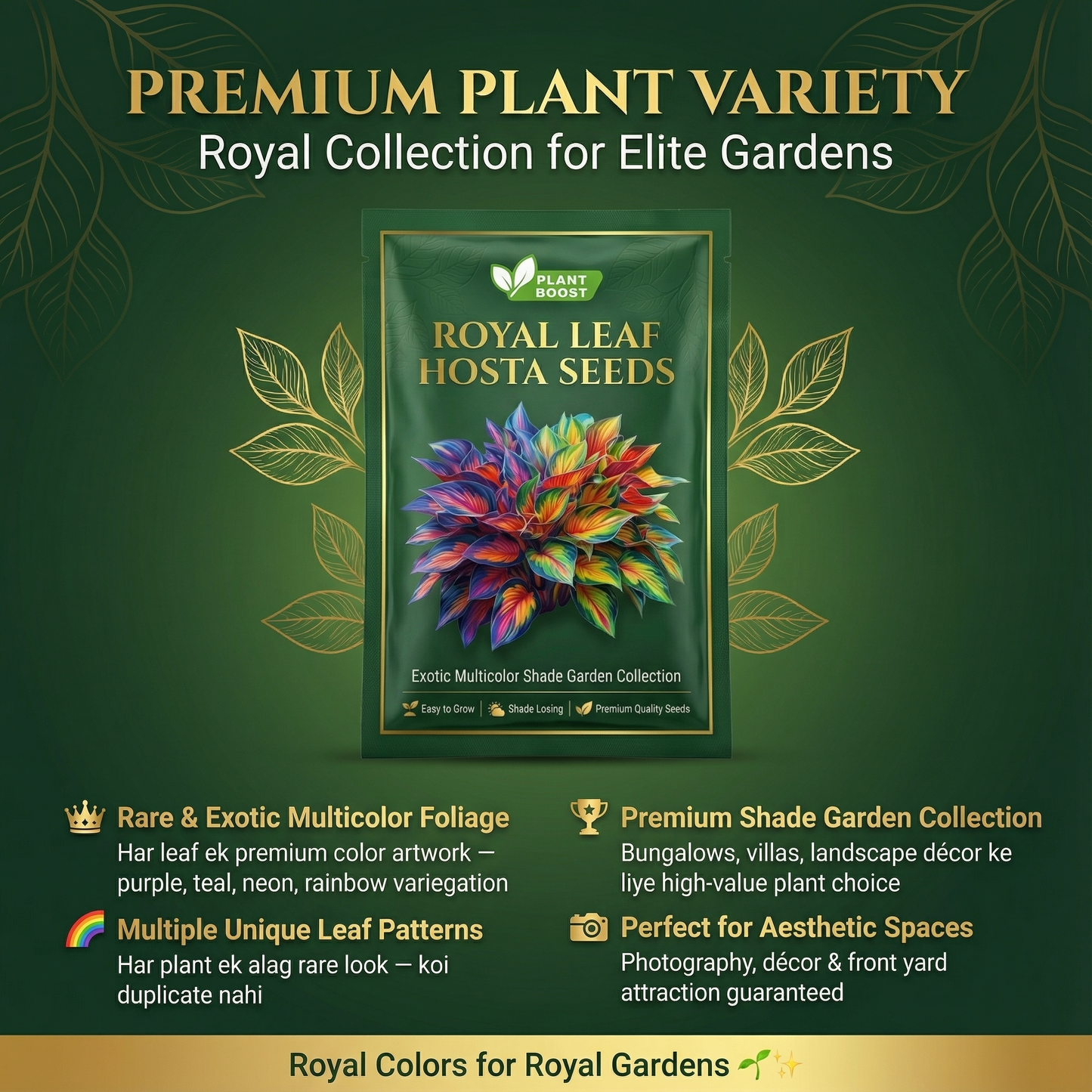 Royal Leaf Hosta Seeds